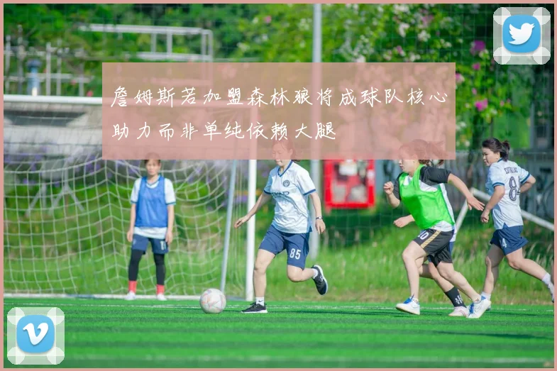 詹姆斯若加盟森林狼将成球队核心助力而非单纯依赖大腿