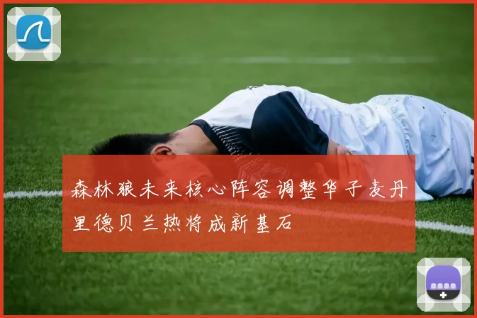 森林狼未来核心阵容调整华子麦丹里德贝兰热将成新基石
