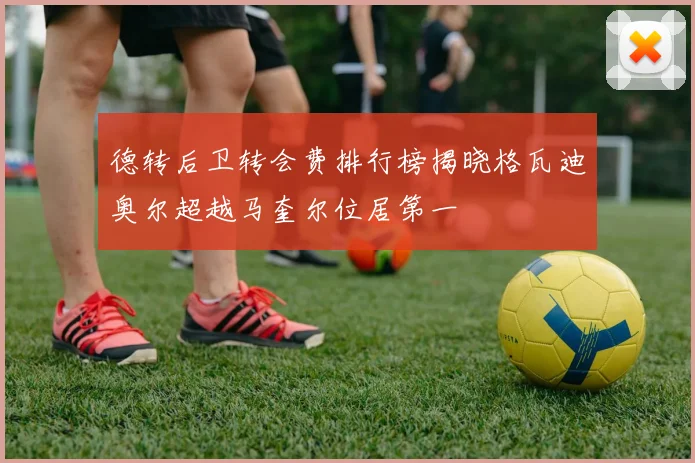 德转后卫转会费排行榜揭晓格瓦迪奥尔超越马奎尔位居第一